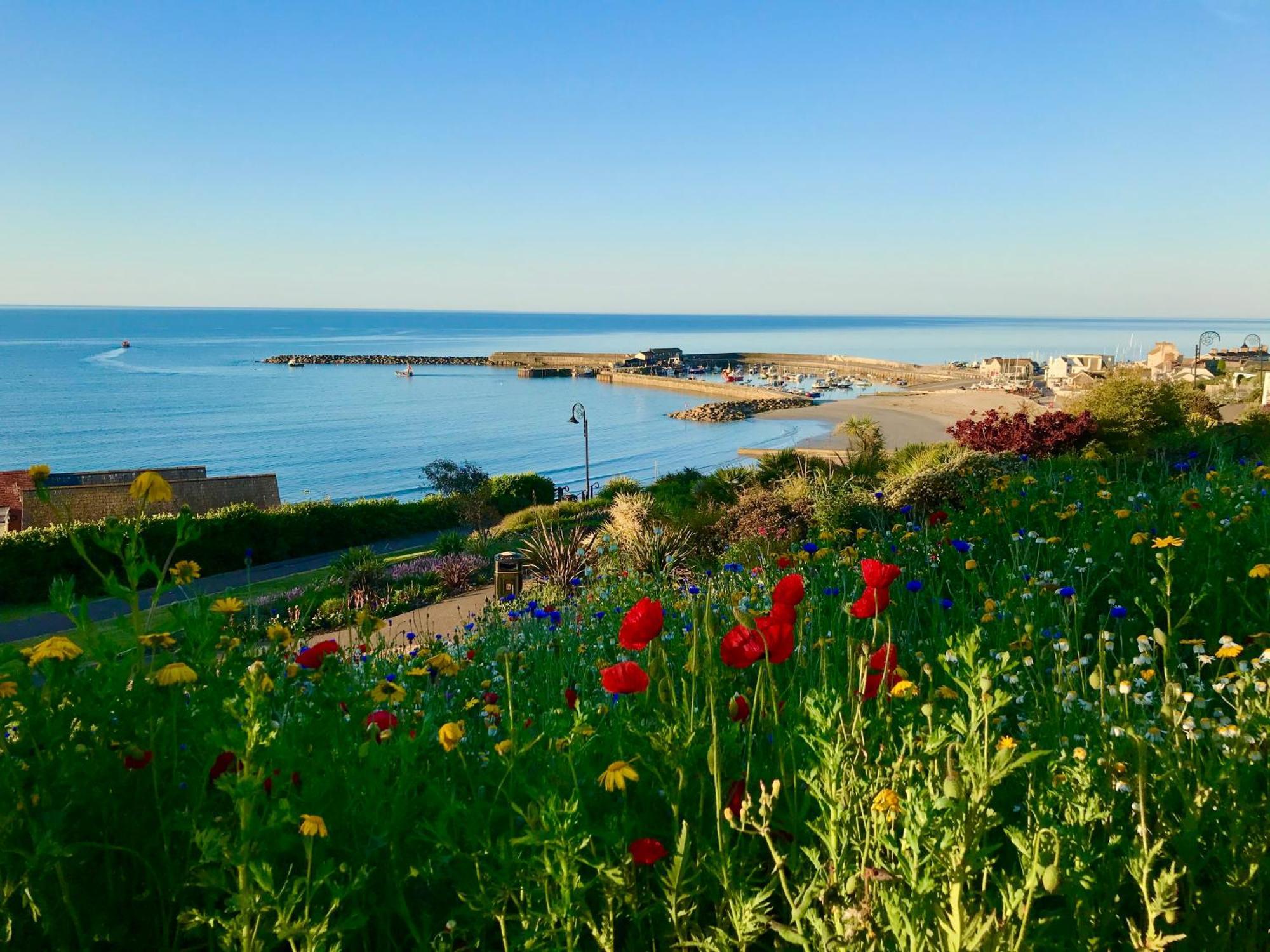 Apartament Lyme Regis Renovated Period Seaside Flat Zewnętrze zdjęcie